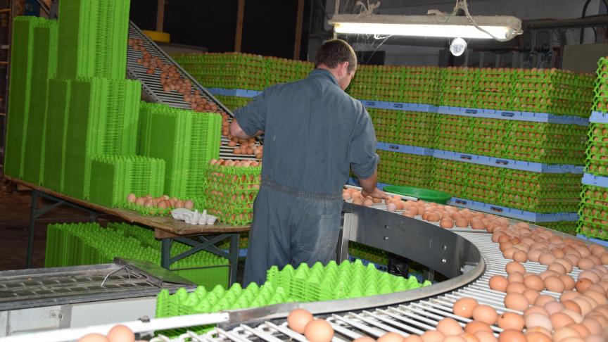 Malgré le blocage, le travail continue: « Les poules sont nourries et nettoyées, les oeufs sont récoltés... sans savoir si l’issue sera positive», dit Stieve Charon.