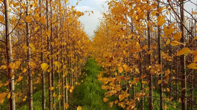 Le projet veut aider les candidats dans l’ensemble des démarches liées au démarrage de leur entreprise et les informer des aides financières et autres auxquelles ils peuvent prétendre.