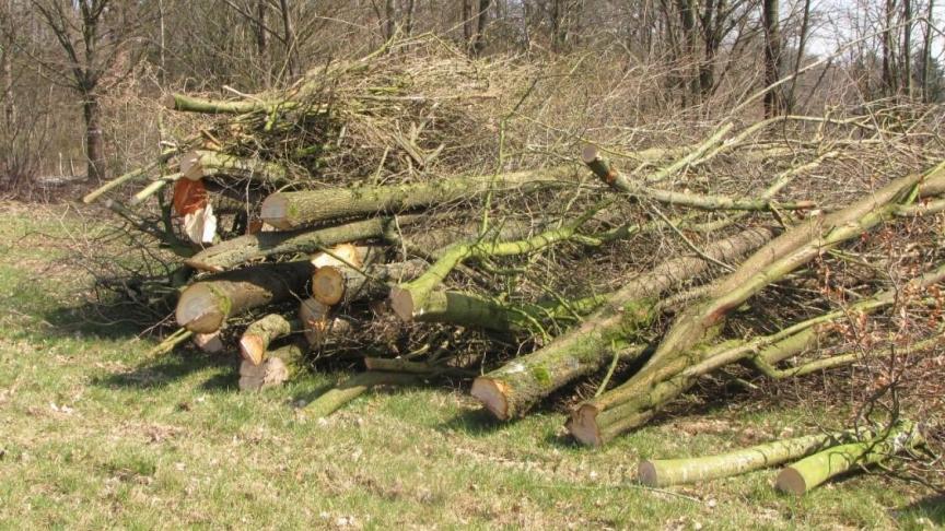 L’exploitation d’une haie bocagère pour la production de plaquettes est entièrement mécanisée.